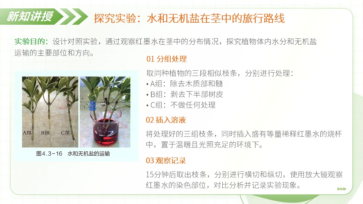 18397147第8页