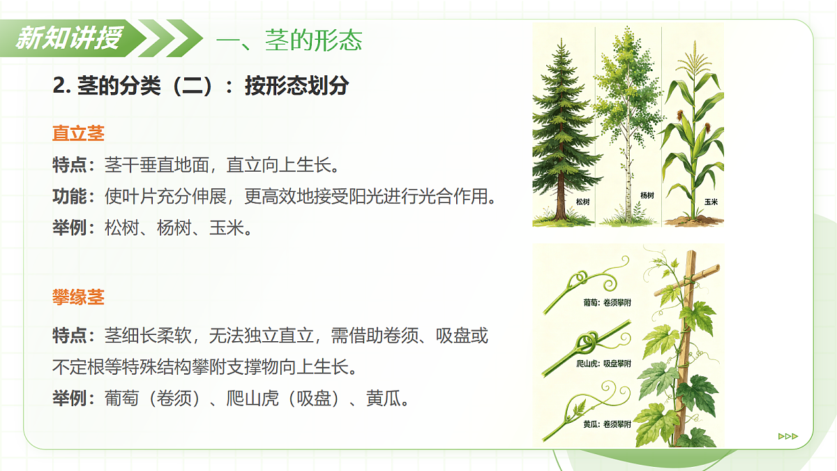 18397148第7页