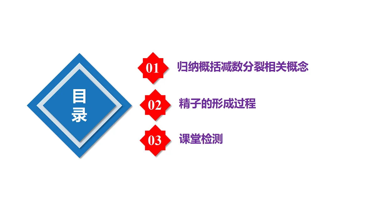 18397905第3页