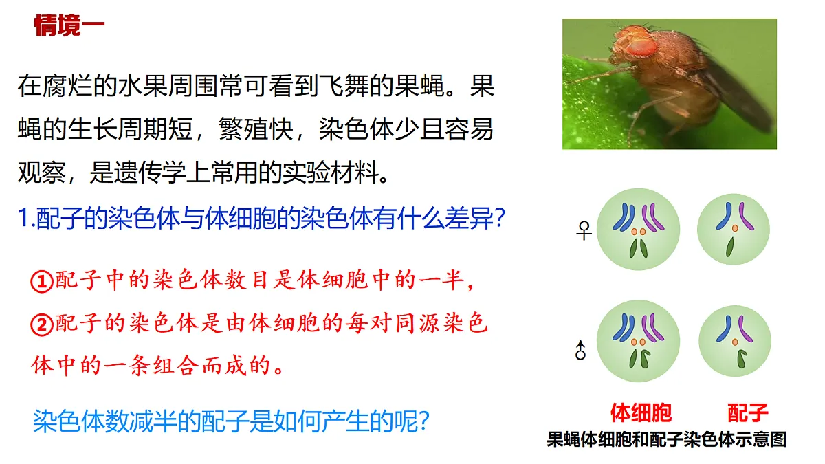 18397905第4页