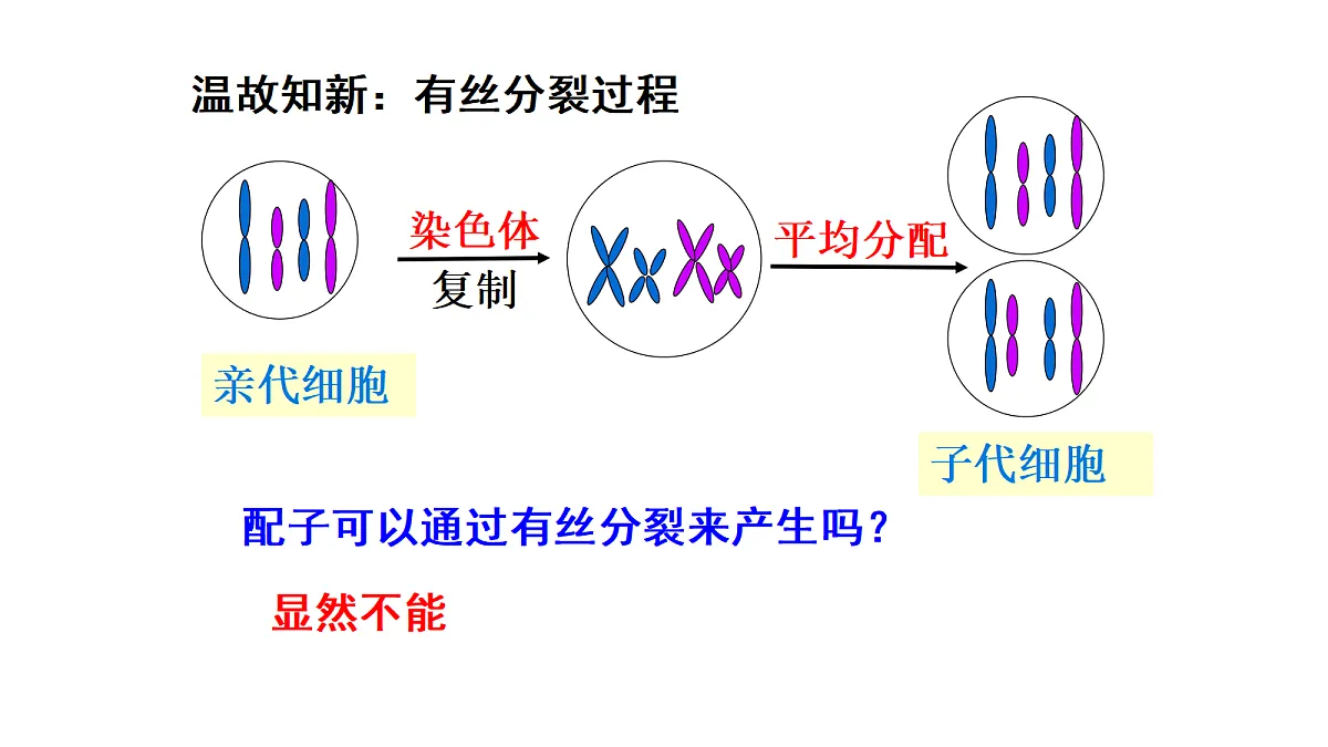 18397905第5页