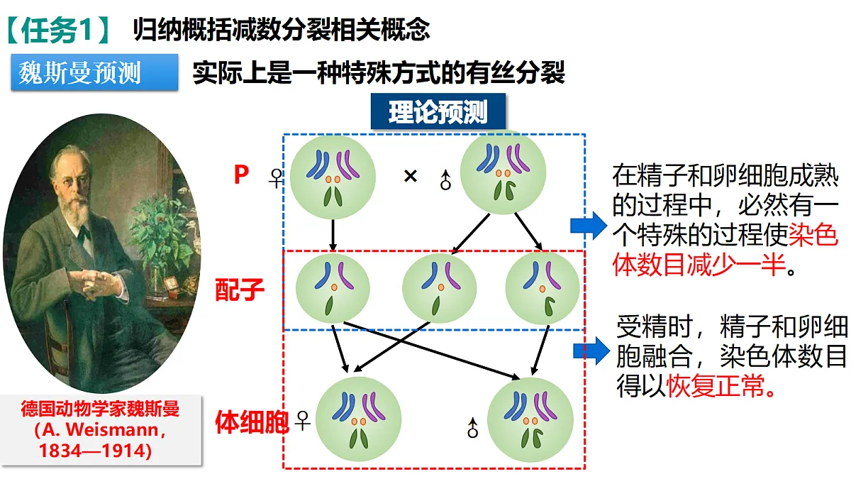 18397905第6页
