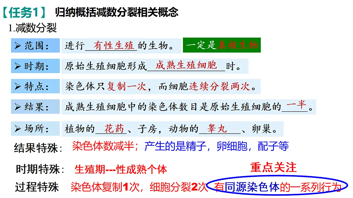 18397905第8页