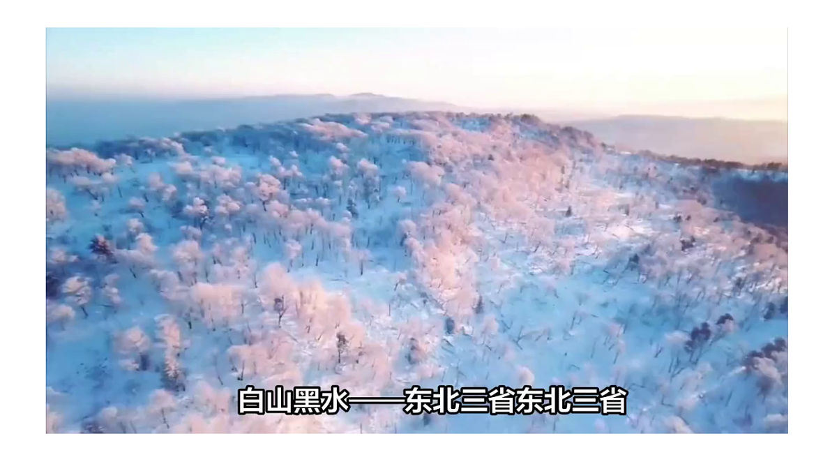 18398700第3页