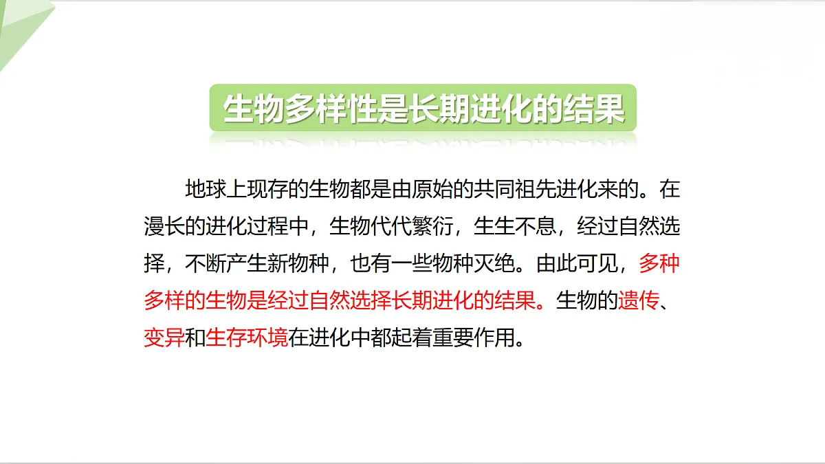 18398786第3页