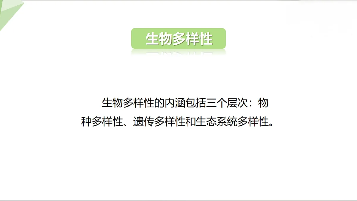 18398786第4页