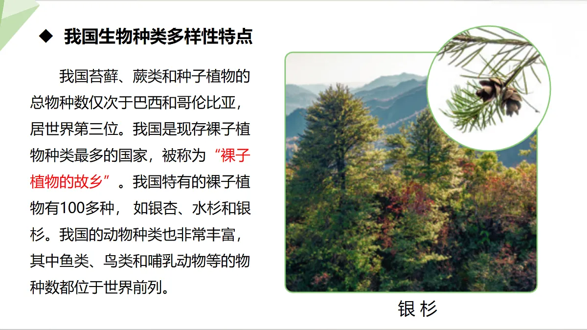 18398786第7页