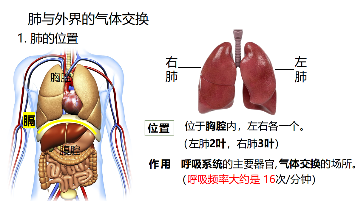 18398790第3页