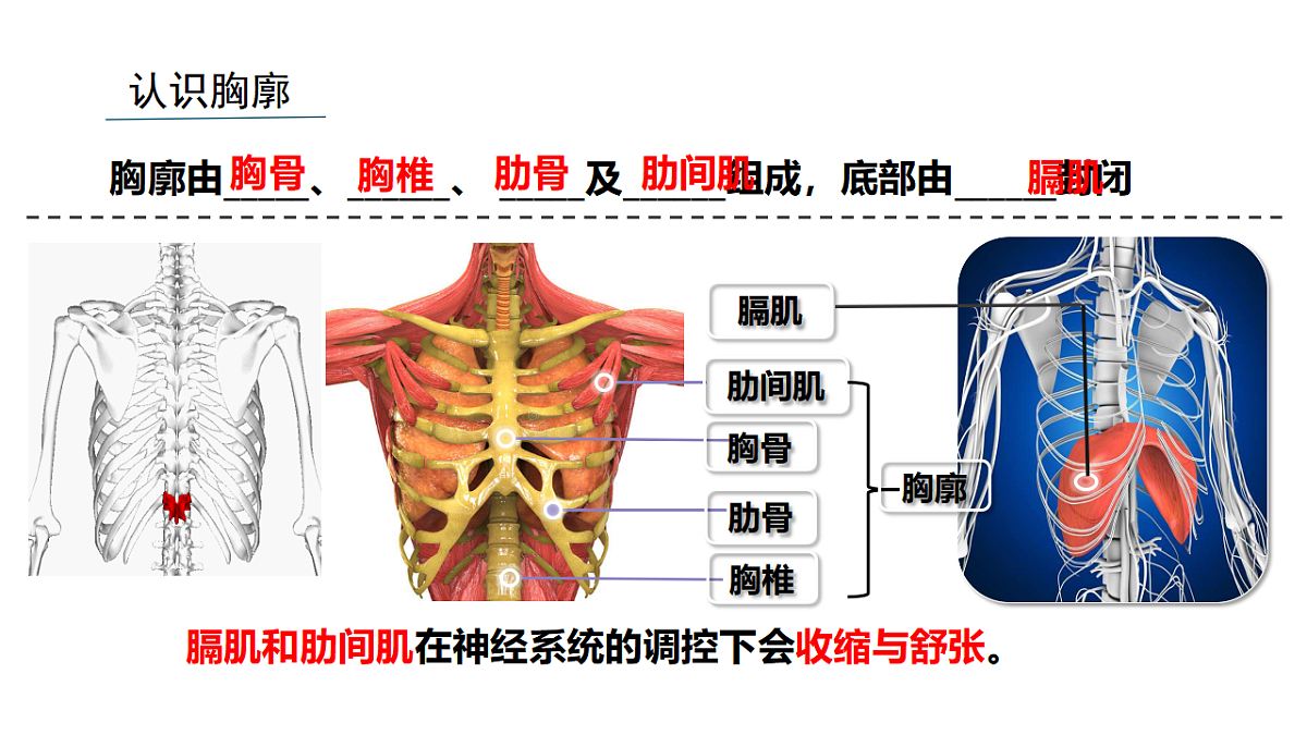 18398790第4页