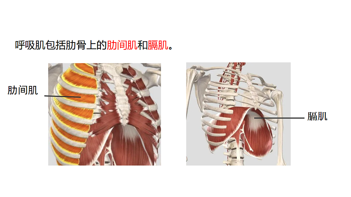 18398790第5页