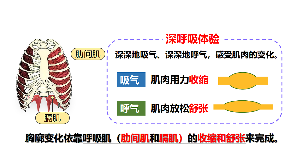 18398790第7页