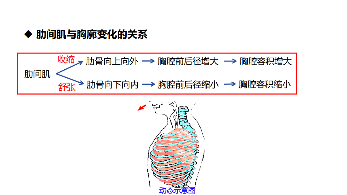 18398790第8页