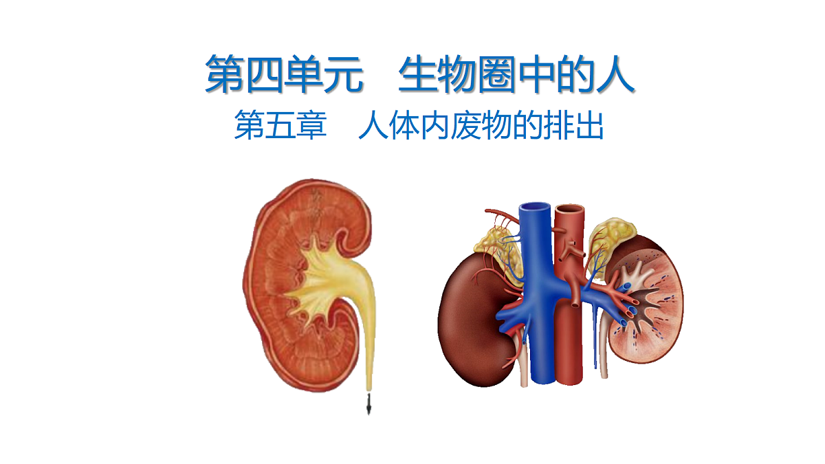 18398791第1页