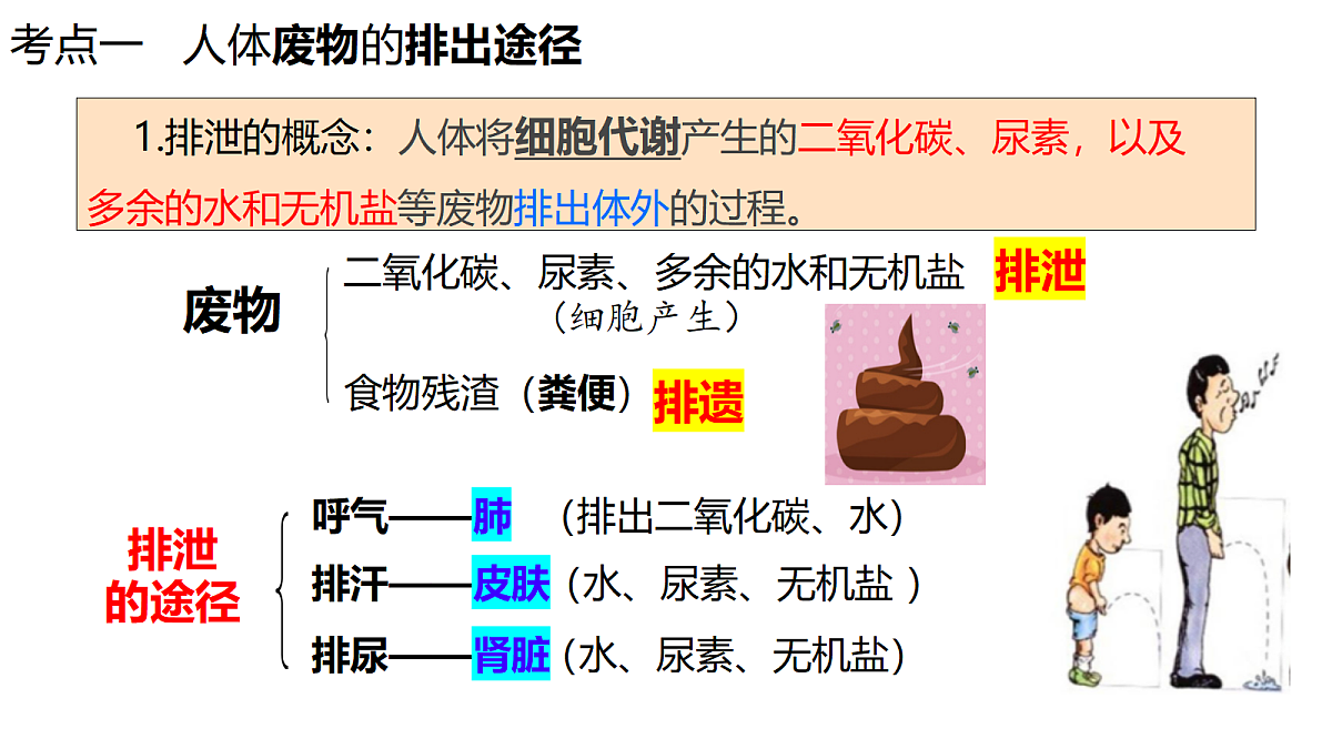 18398791第2页