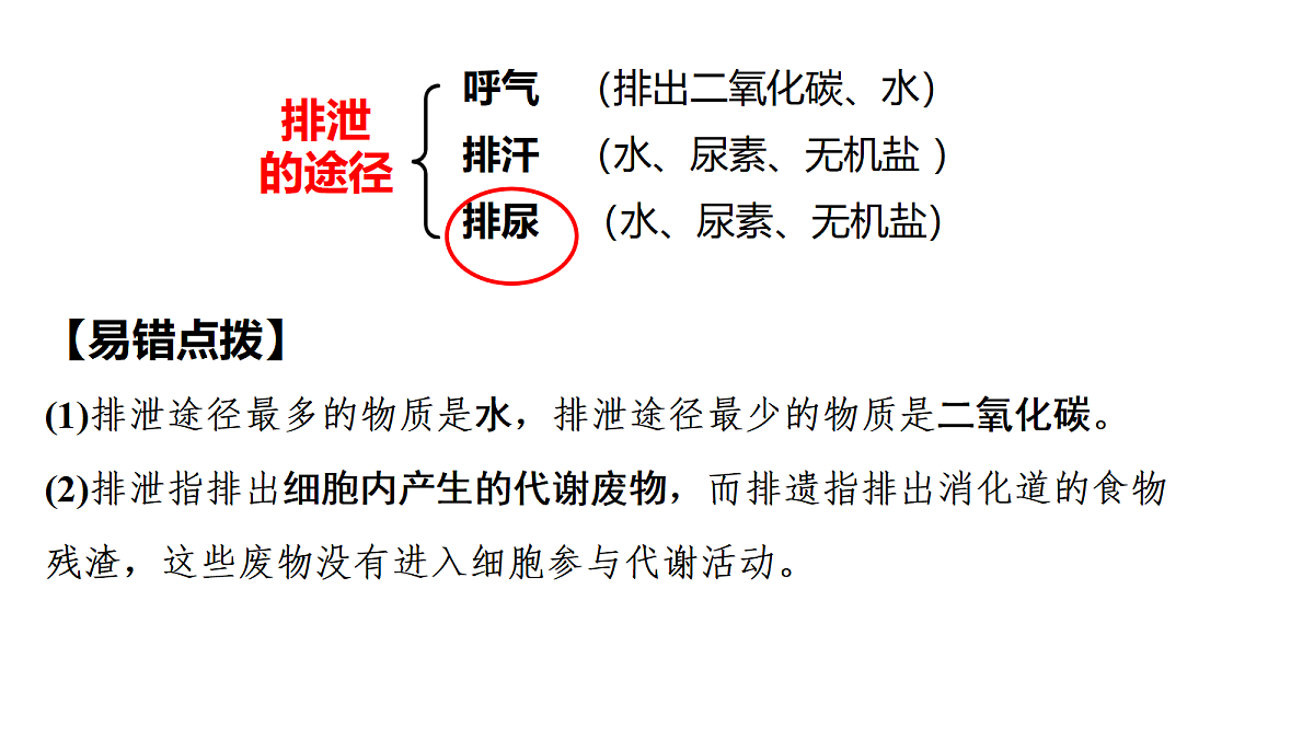 18398791第3页