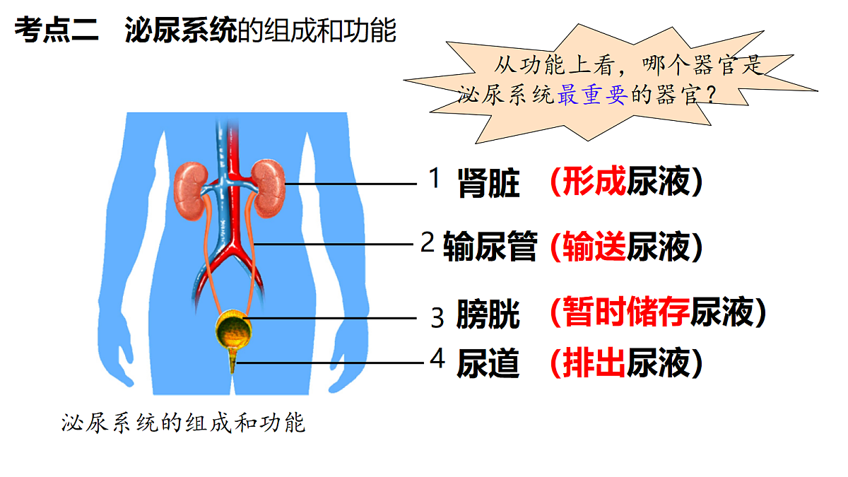 18398791第5页