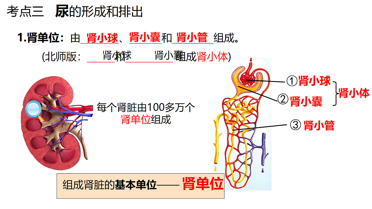 18398791第6页