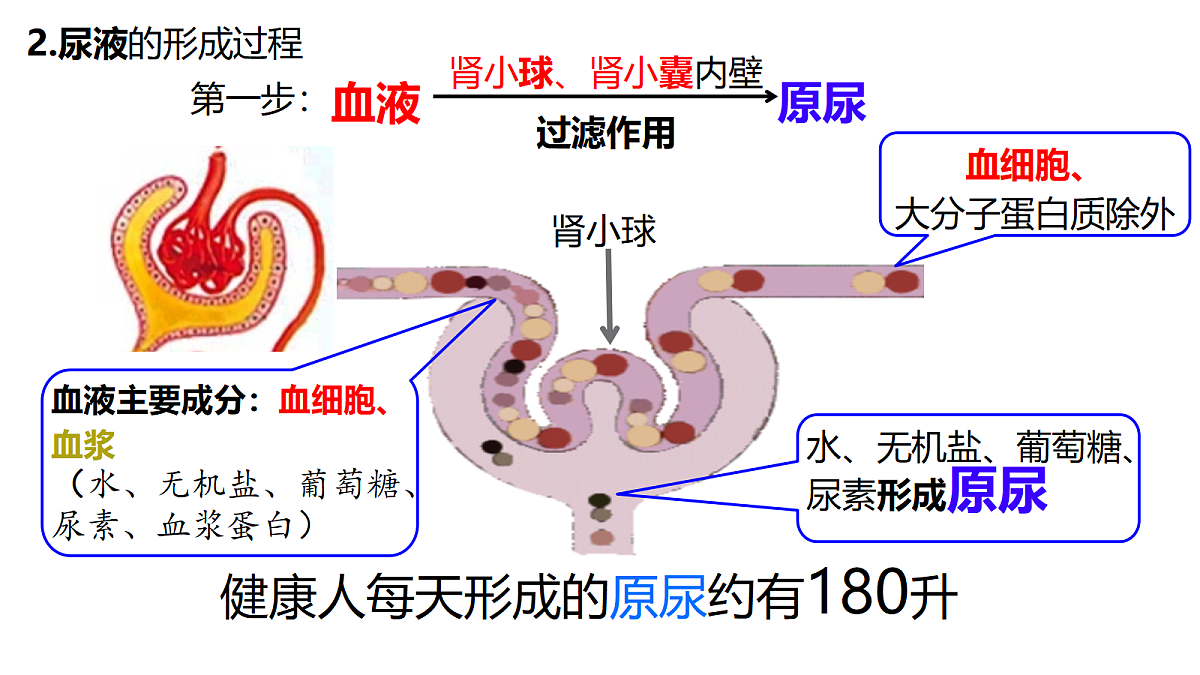 18398791第7页