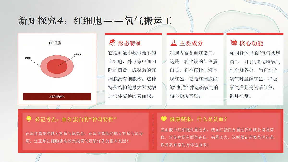 18398796第7页
