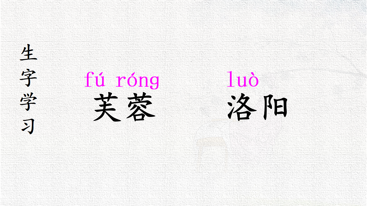 18399516第5页