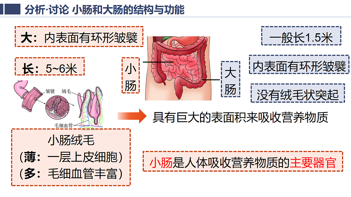 18400977第5页