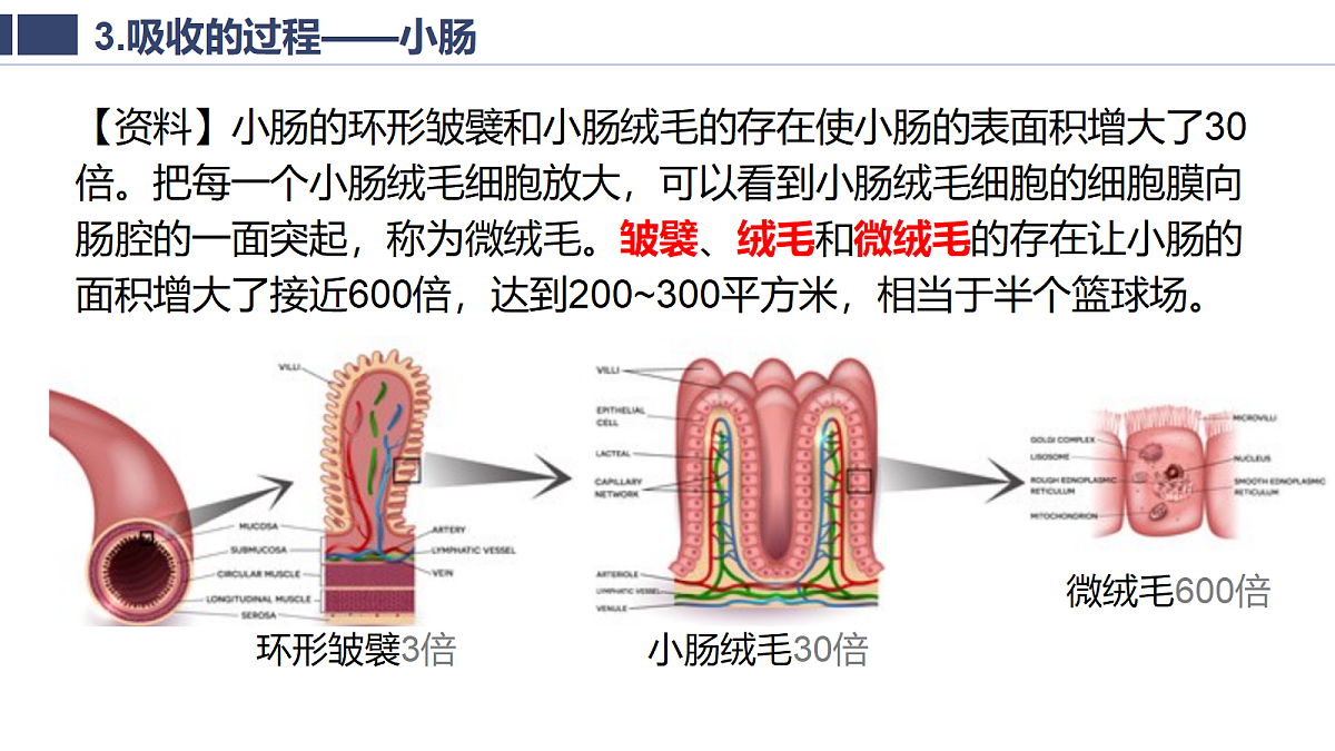 18400977第6页