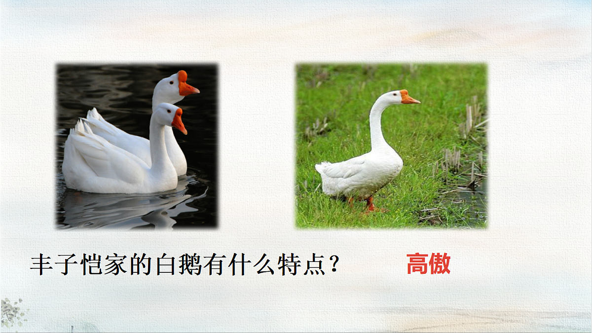 18403067第4页