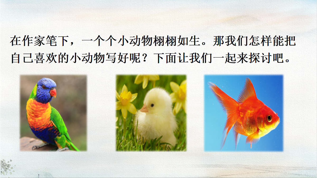 18403067第5页