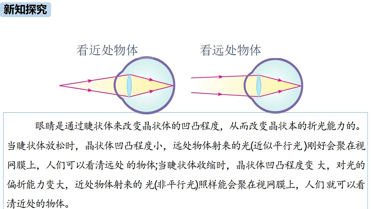 18403727第8页