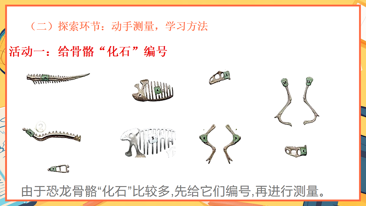 1.3《测量恐龙”化石“》 - 小学科学二年级下册 同步教学课件(教科版2024)第4页