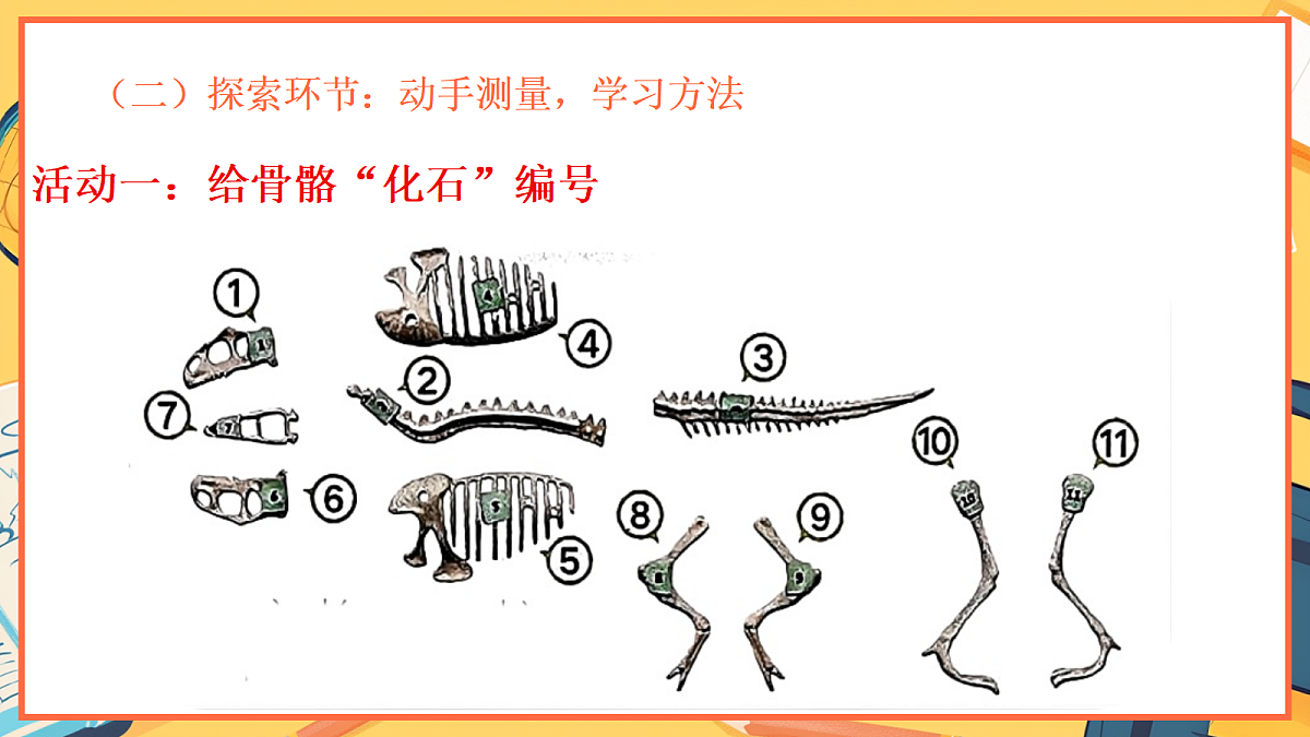 1.3《测量恐龙”化石“》 - 小学科学二年级下册 同步教学课件(教科版2024)第5页