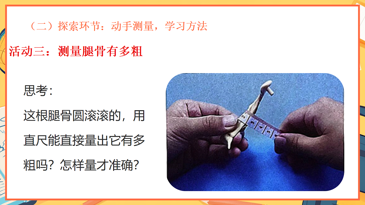 1.3《测量恐龙”化石“》 - 小学科学二年级下册 同步教学课件(教科版2024)第7页