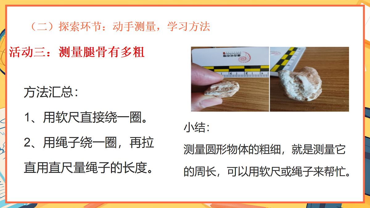 1.3《测量恐龙”化石“》 - 小学科学二年级下册 同步教学课件(教科版2024)第8页