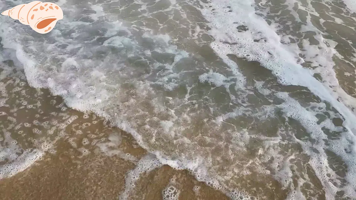 一下 六单元 浪花第3页