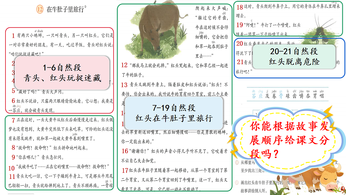 人教部编版语文三上第12课《在牛肚子里旅行》 课件第8页