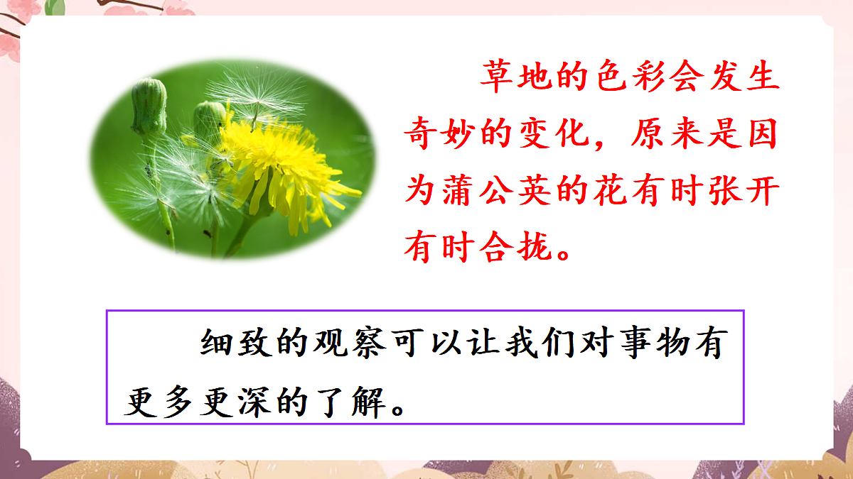 人教部编版语文三上 第五单元 交流平台《初试身手》 课件第7页