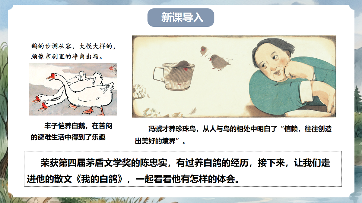 人教部编版语文七上 第18课《我的白鸽》课件第2页
