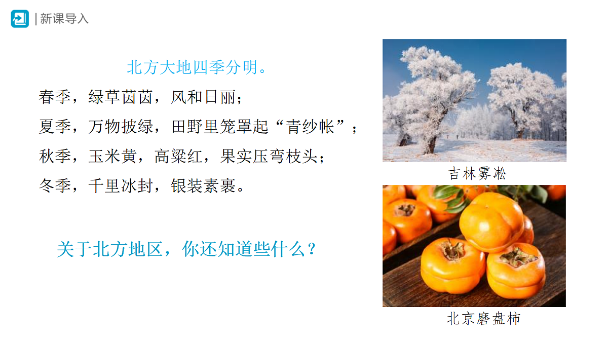 18406737第2页