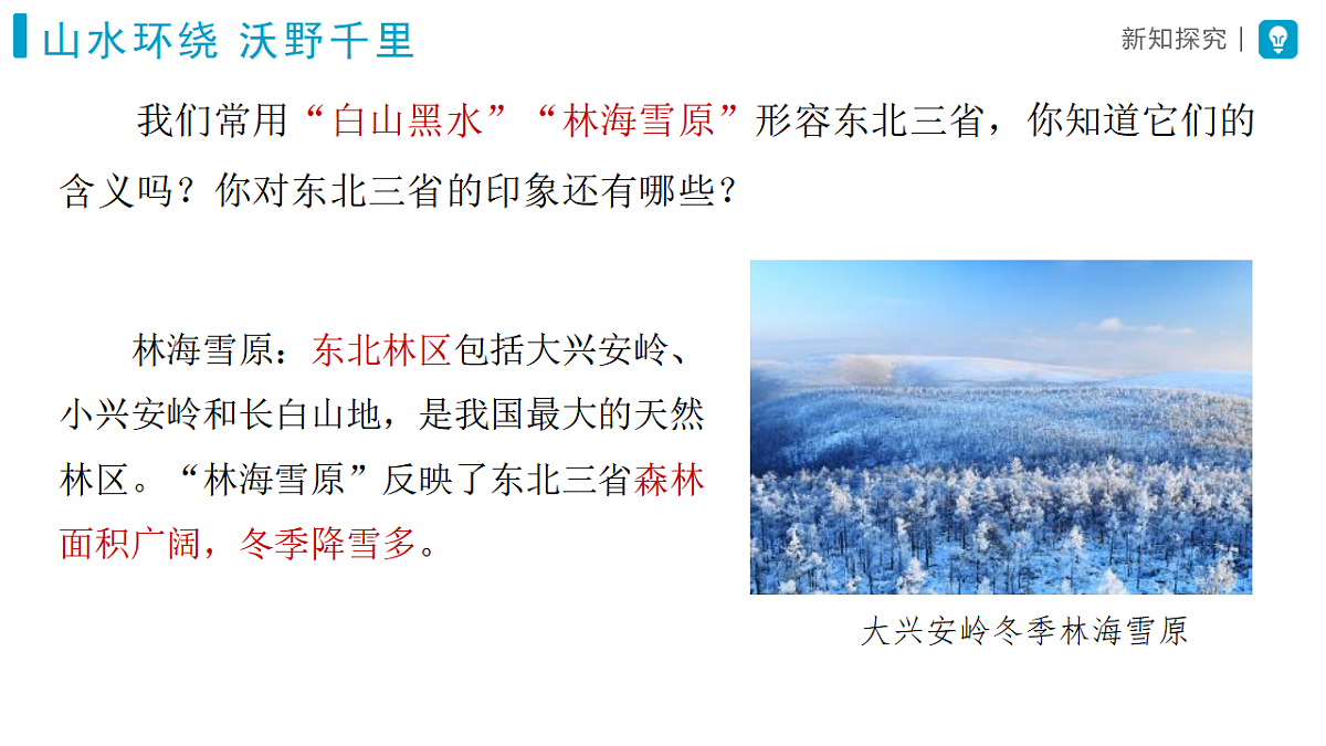18406738第4页