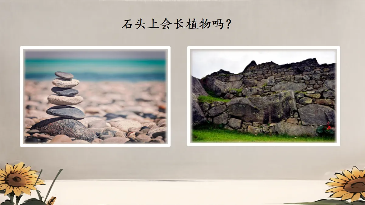 18406901第2页