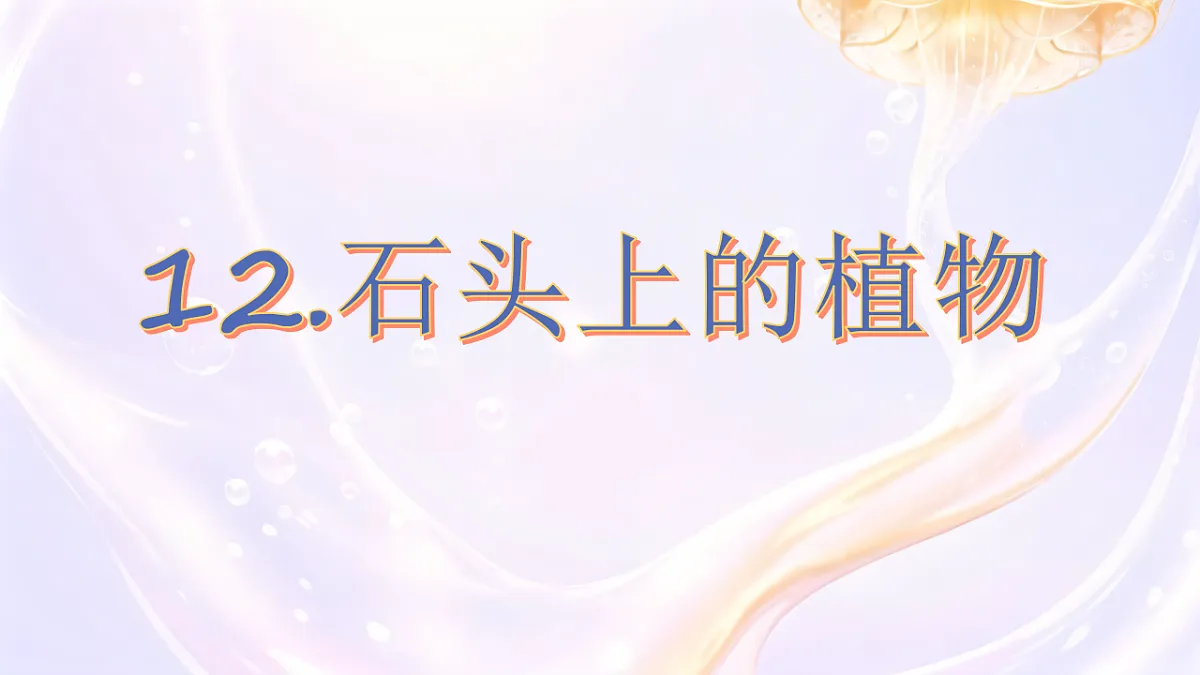 18406901第3页