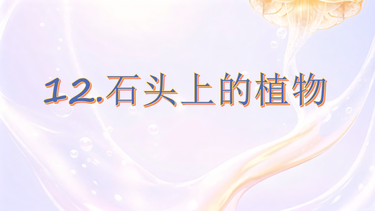 18406901第3页