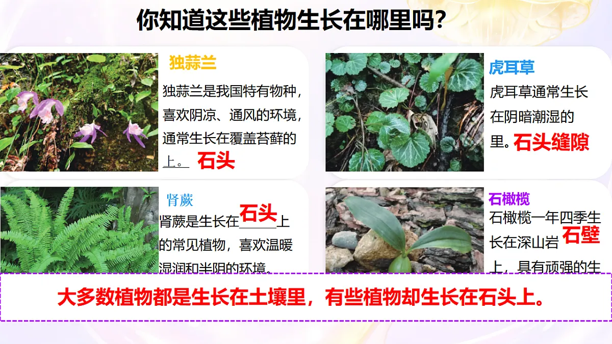18406901第4页