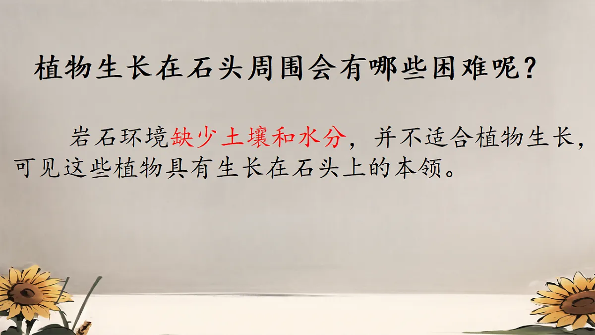 18406901第5页