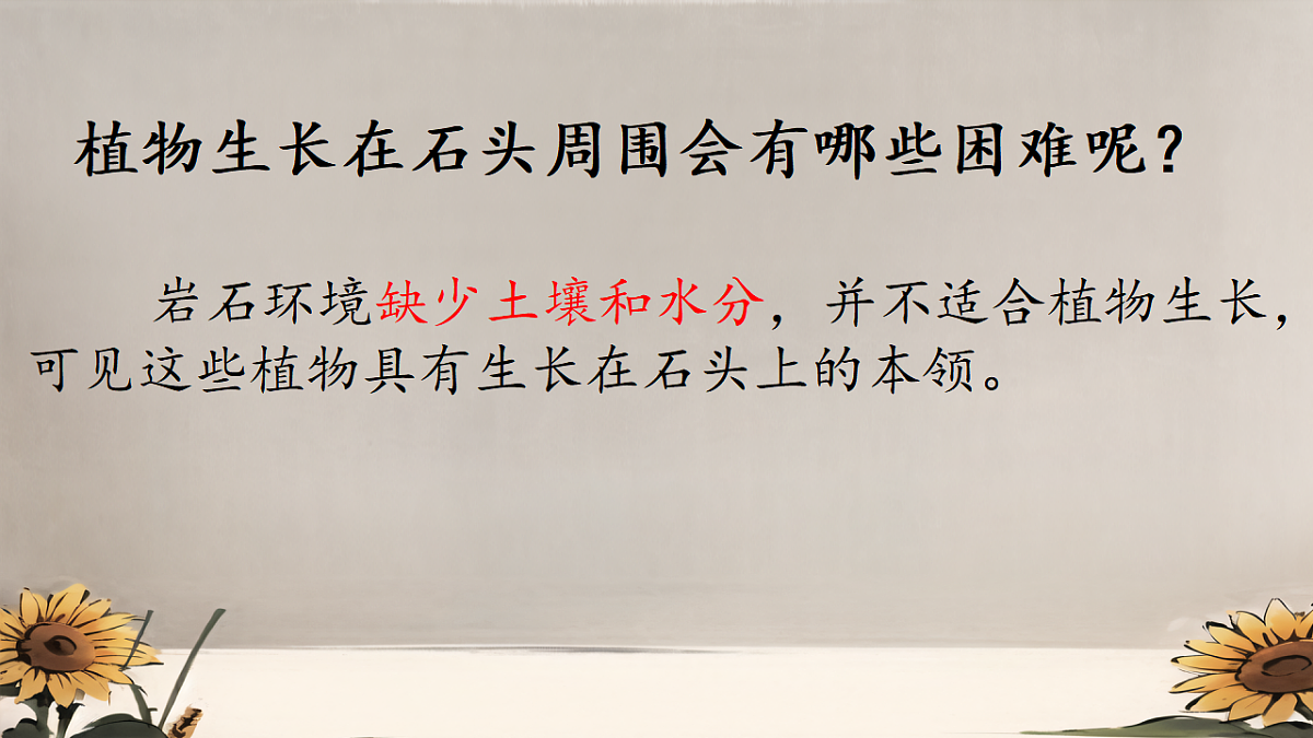 18406901第5页