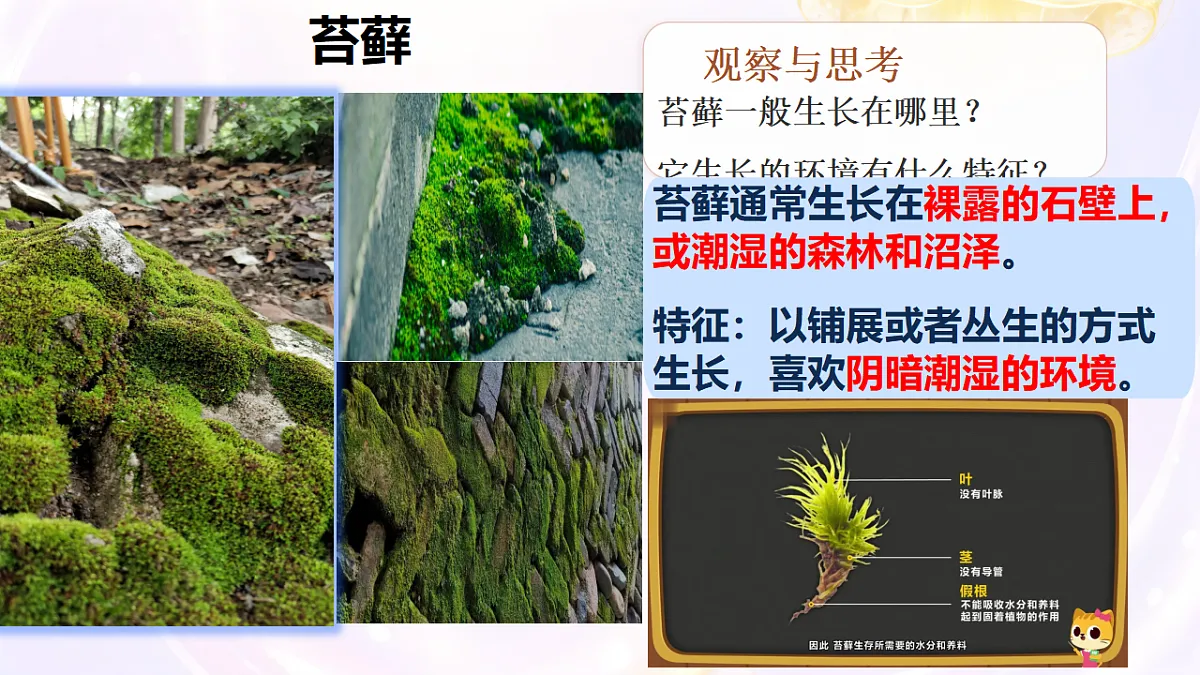18406901第6页