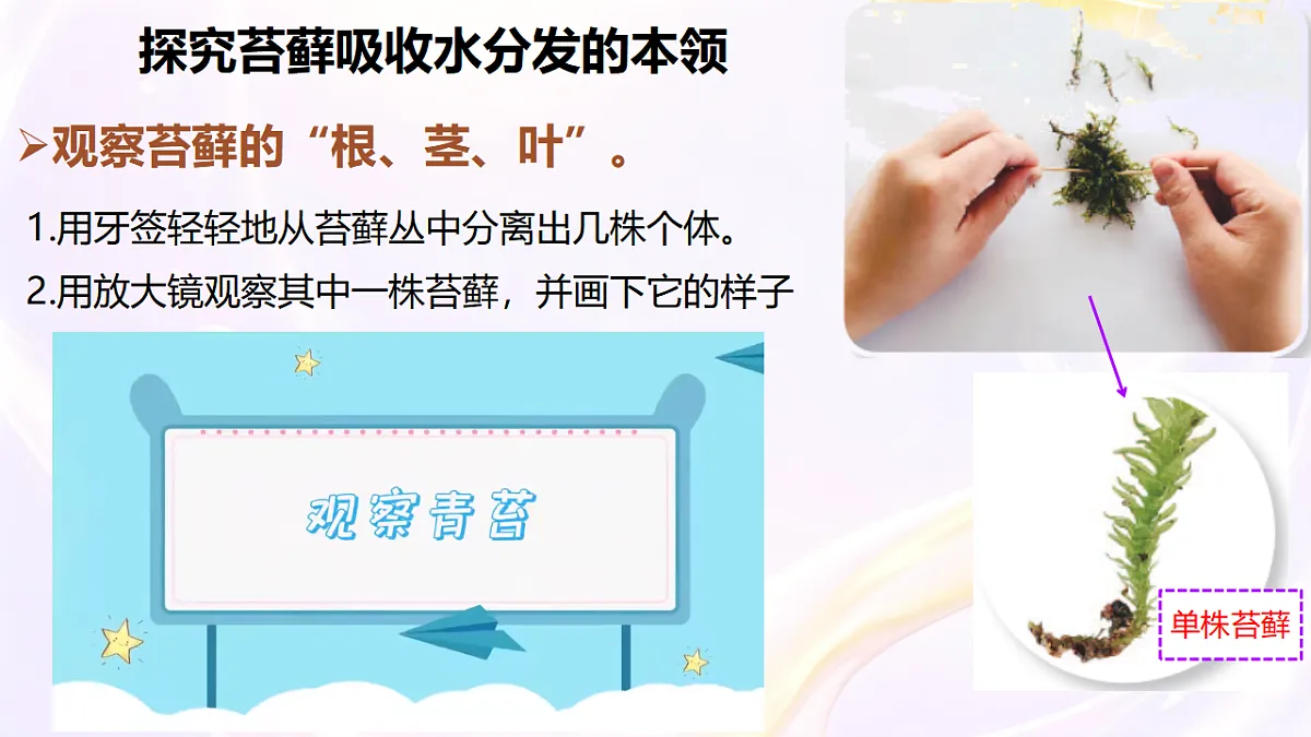 18406901第7页