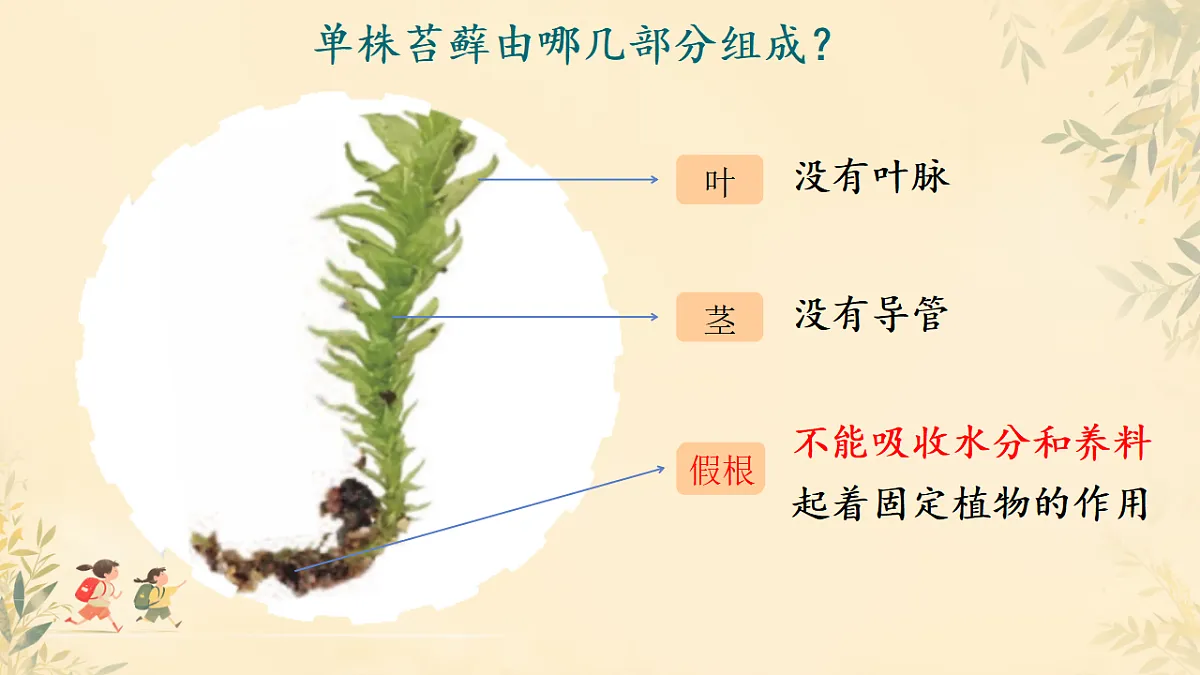 18406901第8页