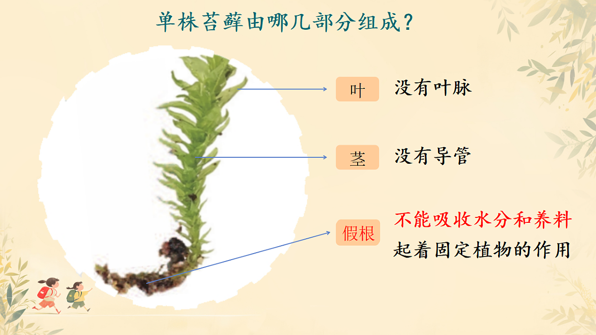 18406901第8页