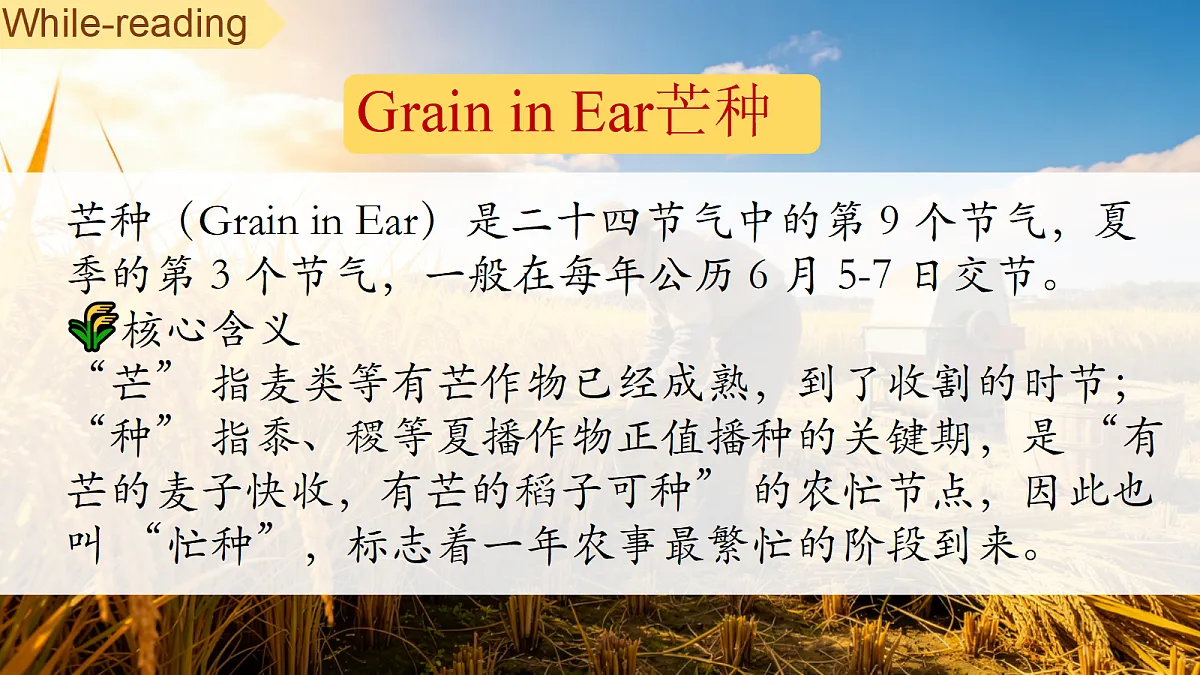 18407239第7页